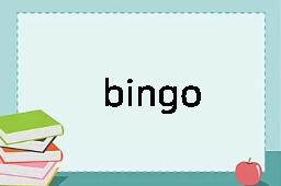 bingo