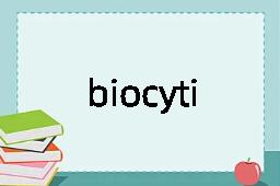 biocytinase