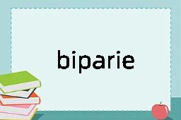 biparietal