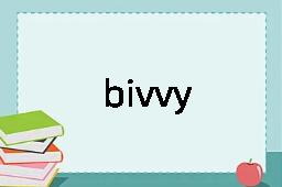 bivvy