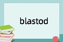 blastoderm