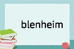 blenheim