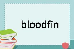 bloodfin