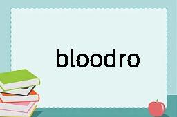 bloodroot