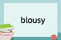 blousy