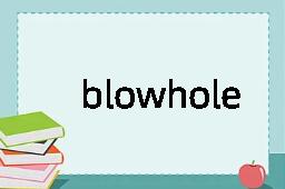 blowhole