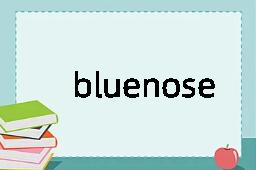 bluenose