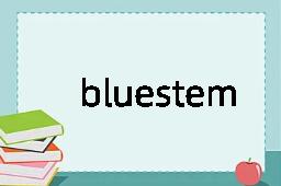 bluestem