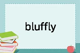 bluffly