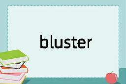 bluster