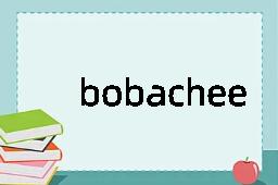 bobachee