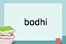 bodhi