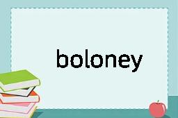 boloney