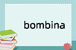 bombinate