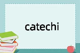 catechize