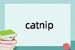 catnip