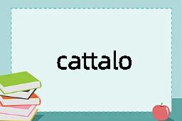 cattalo