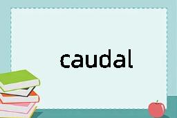 caudal