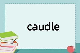 caudle