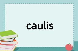 caulis