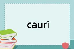 cauri