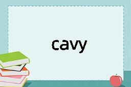 cavy