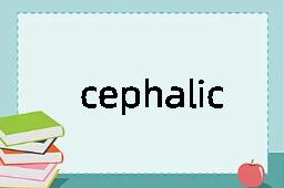 cephalic