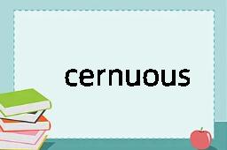 cernuous