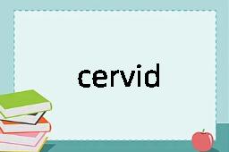 cervid