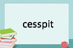 cesspit