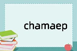 chamaephyte