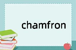 chamfron