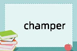 champerty