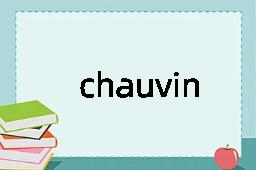 chauvinism