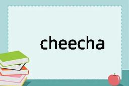 cheechako