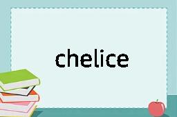 cheliceral