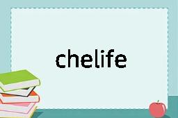 cheliferous