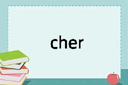 cher