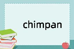 chimpanzee