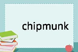 chipmunk