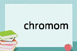 chromomere