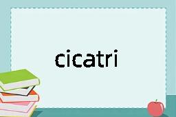 cicatricial