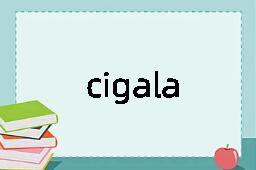 cigala