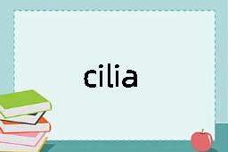 cilia