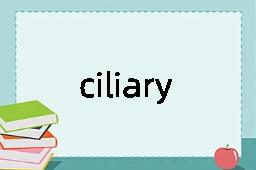 ciliary