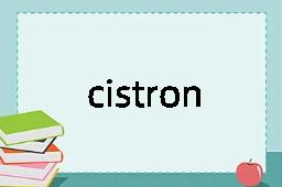 cistron