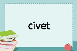 civet