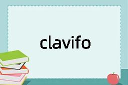 claviform