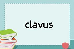 clavus