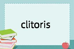 clitoris